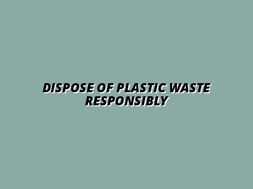 Dispose of Plastic Waste Responsibly